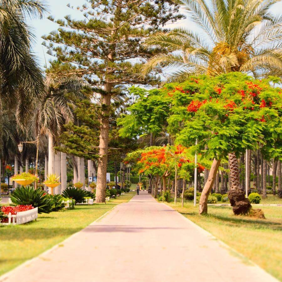 TAMAN-MONTAZAH